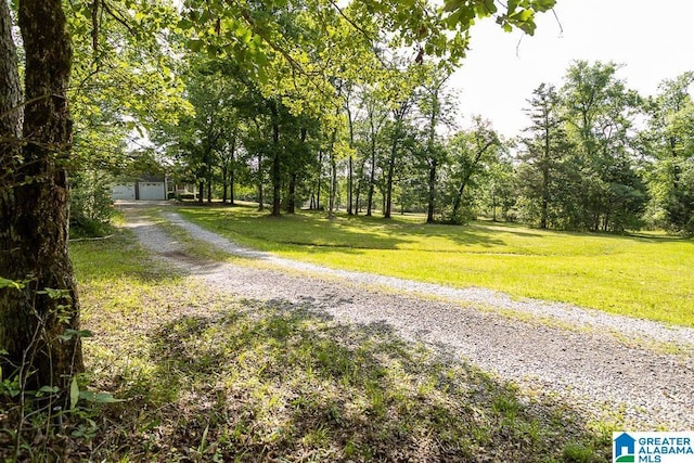 105 Mountain View Ln, Springville, AL 35146 - view of dirt / gravel driveway