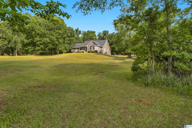 105 Mountain View Ln, Springville, AL 35146 - view of grassy yard
