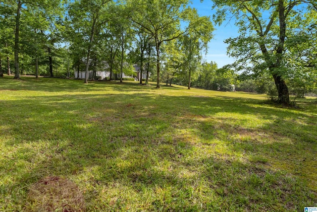 105 Mountain View Ln, Springville, AL 35146 - view of green lawn