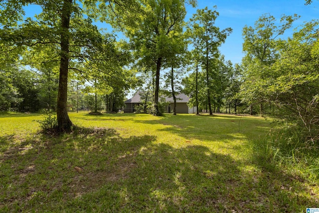105 Mountain View Ln, Springville, AL 35146 - view of green lawn
