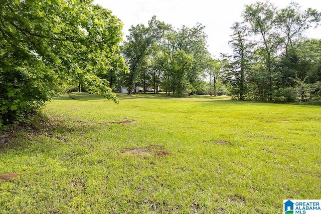 105 Mountain View Ln, Springville, AL 35146 - view of grassy yard