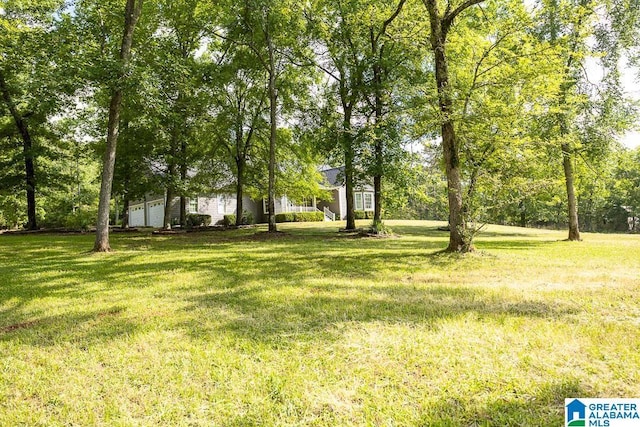 105 Mountain View Ln, Springville, AL 35146 - view of green lawn