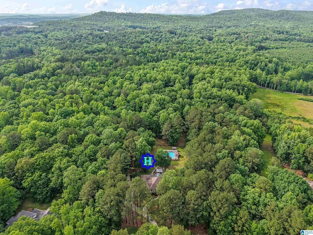 135 Weatherly Way, Pelham, AL 35124 - view of property location featuring a heavily wooded area and a mountainous background