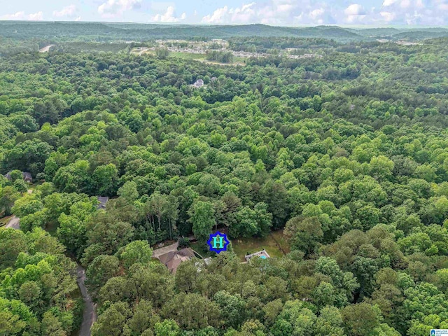 135 Weatherly Way, Pelham, AL 35124 - aerial view of a heavily wooded area