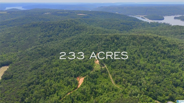 357 Tara Dr Unit 1, Guntersville, AL 35976