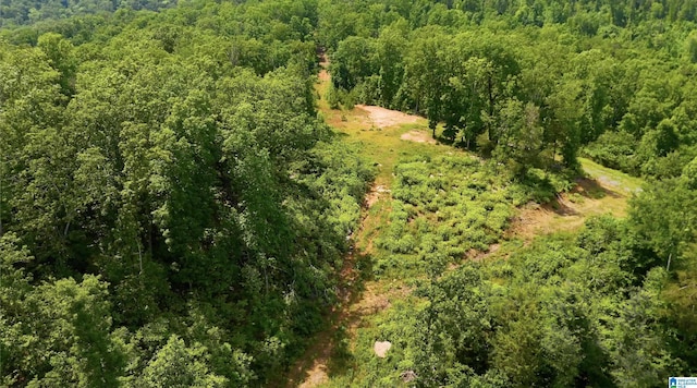 357 Tara Dr Unit 1, Guntersville, AL 35976