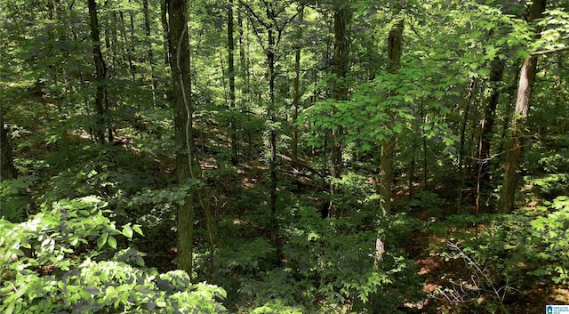357 Tara Dr Unit 1, Guntersville, AL 35976