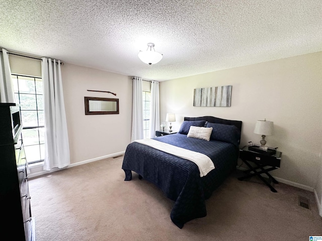 3455 Self Creek Rd, Warrior, AL 35180 - bedroom with carpet, multiple windows, baseboards, and a textured ceiling