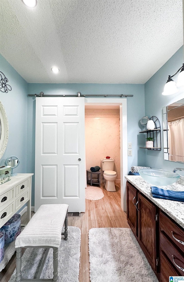 3455 Self Creek Rd, Warrior, AL 35180 - bathroom with wood finished floors, a textured ceiling, vanity, toilet, and recessed lighting