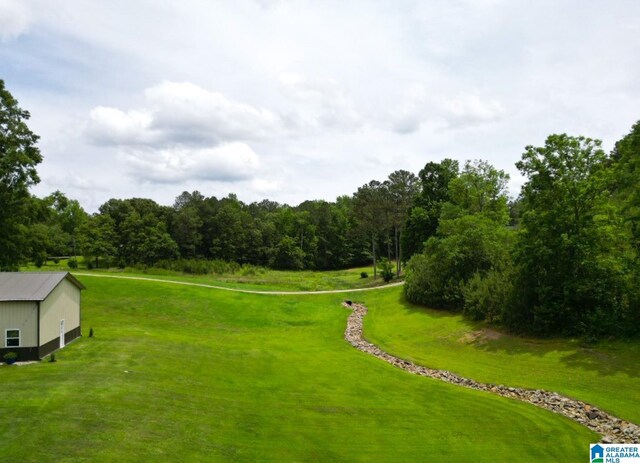3455 Self Creek Rd, Warrior, AL 35180 - view of home's community with an outbuilding, a lawn, and an outdoor structure