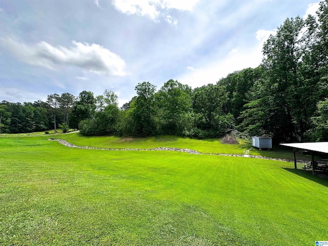 3455 Self Creek Rd, Warrior, AL 35180 - view of grassy yard