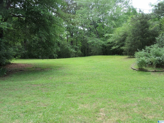 3212 County Road 730, Cullman, AL 35055 - view of green lawn