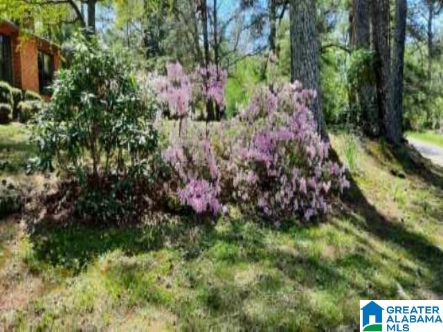 3212 County Road 730, Cullman, AL 35055 - view of yard