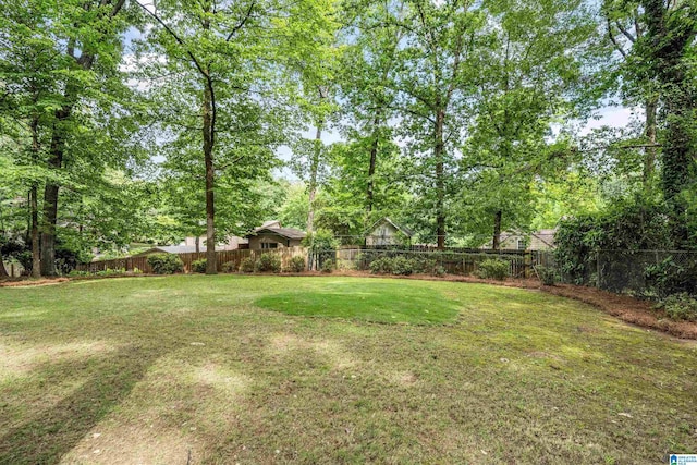 3317 Overton Rd, Mountain Brook, AL 35223 - view of yard