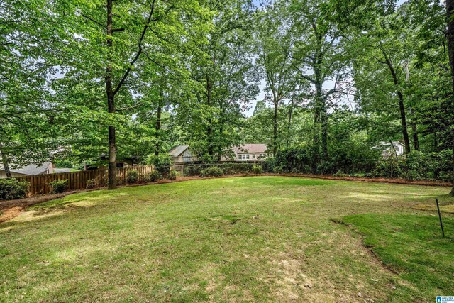 3317 Overton Rd, Mountain Brook, AL 35223 - view of yard