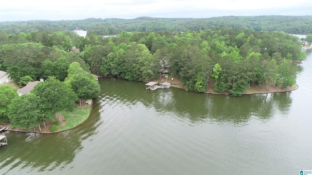 2974 Crescent Crest Dr, Wedowee, AL 36278 - drone / aerial view of a forest and a large body of water