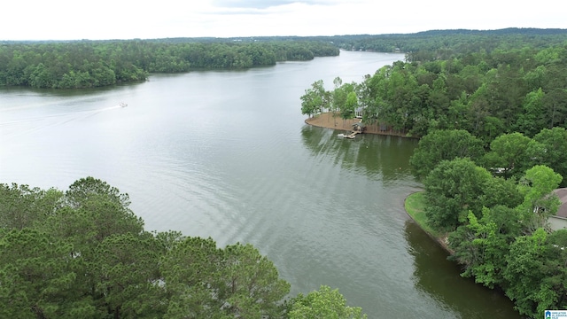 2974 Crescent Crest Dr, Wedowee, AL 36278 - bird's eye view of a large body of water and a heavily wooded area