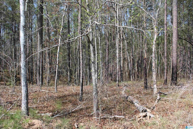 0 Danny Holmans Rd Unit 1, Rockford, AL 35136