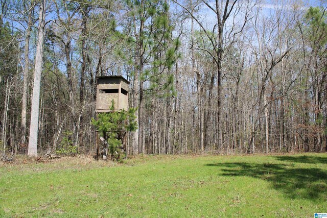 0 Danny Holmans Rd Unit 1, Rockford, AL 35136