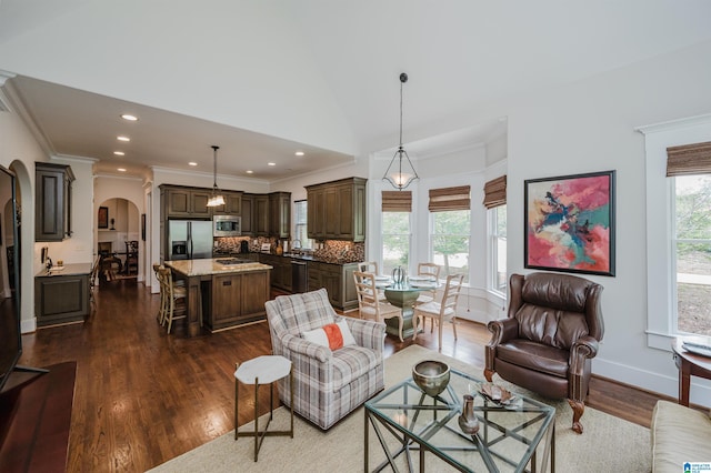 5226 Mountain Ridge Parkway, Birmingham, AL 35222 - living room with arched walkways, dark wood-style floors, ornamental molding, recessed lighting, and lofted ceiling