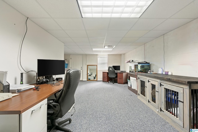 180 Thornberry Dr, Hayden, AL 35079 - office area featuring a paneled ceiling and carpet flooring