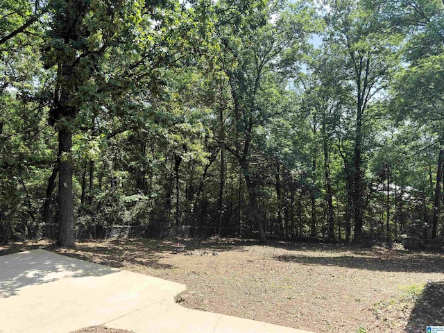 1140 Tribe Trl, Alabaster, AL 35007 - view of yard with a patio and a wooded view