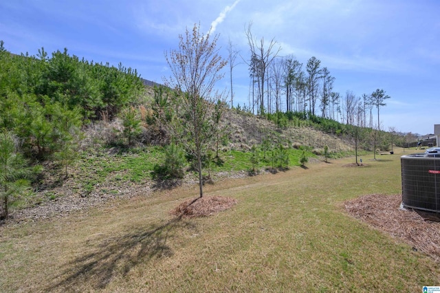 3104 Simms Lndg, Pelham, AL 35124 - view of grassy yard with central AC unit