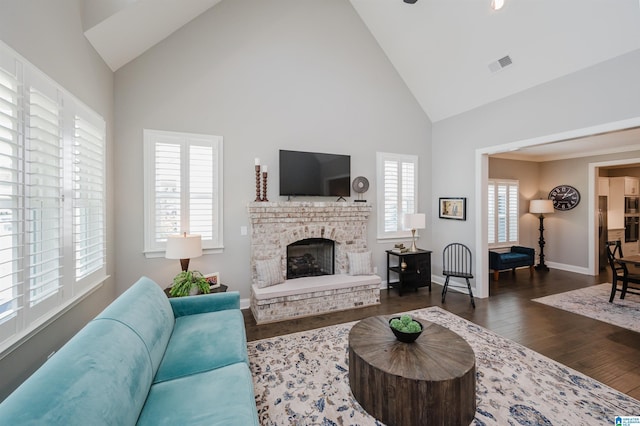 3104 Simms Lndg, Pelham, AL 35124 - living area featuring high vaulted ceiling, plenty of natural light, dark wood finished floors, baseboards, and a fireplace