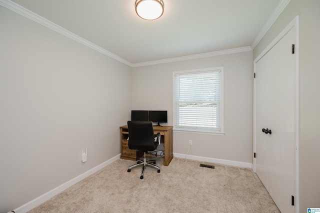 4669 Burning Tree Ln, Pelham, AL 35124 - office space featuring ornamental molding, carpet flooring, and baseboards