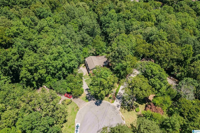 4669 Burning Tree Ln, Pelham, AL 35124 - drone / aerial view of a heavily wooded area