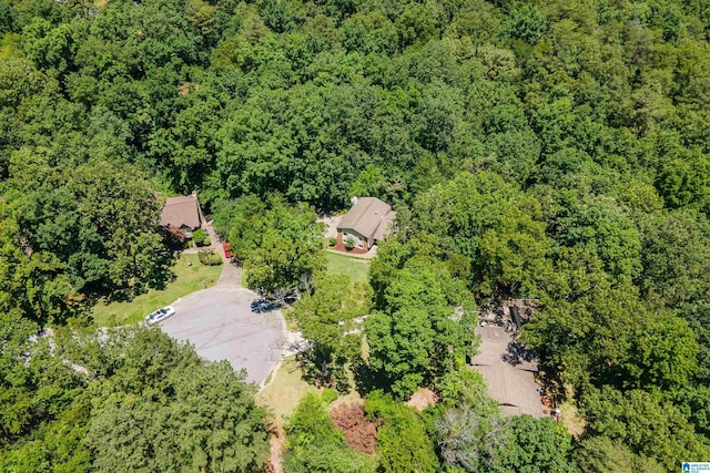 4669 Burning Tree Ln, Pelham, AL 35124 - bird's eye view of a heavily wooded area