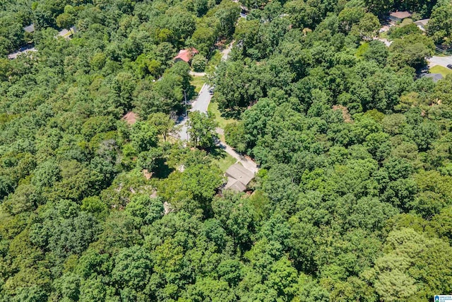 4669 Burning Tree Ln, Pelham, AL 35124 - aerial view of property and surrounding area featuring a forest