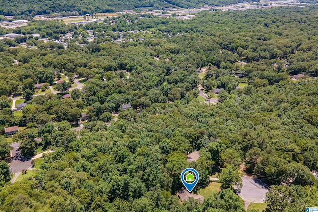 4669 Burning Tree Ln, Pelham, AL 35124 - aerial view of a forest