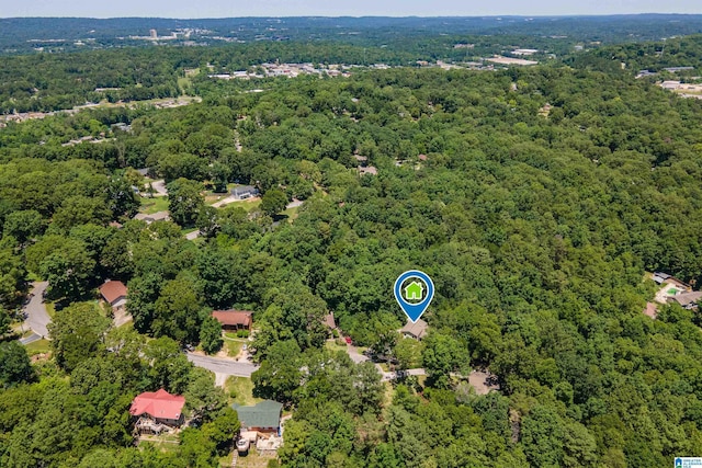 4669 Burning Tree Ln, Pelham, AL 35124 - drone / aerial view of a heavily wooded area