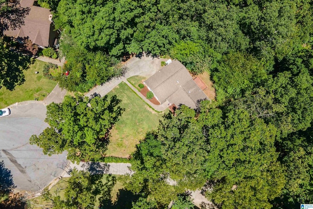 4669 Burning Tree Ln, Pelham, AL 35124 - bird's eye view