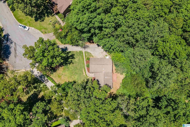 4669 Burning Tree Ln, Pelham, AL 35124 - bird's eye view