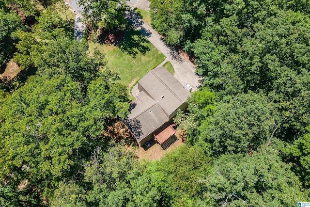 4669 Burning Tree Ln, Pelham, AL 35124 - view of subject property