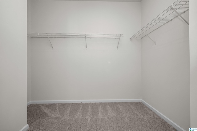 2017 Valley Run, Leeds, AL 35094 - spacious closet featuring carpet