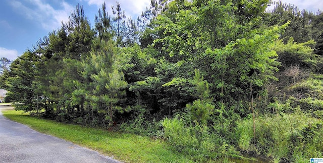0 Savannah Ln Unit 414, Cleveland, AL 35049