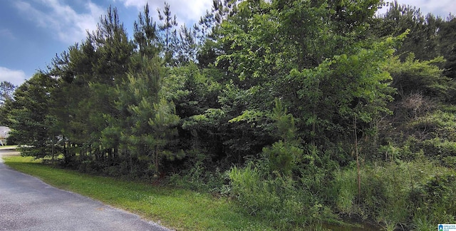 0 Savannah Ln Unit 414, Cleveland, AL 35049