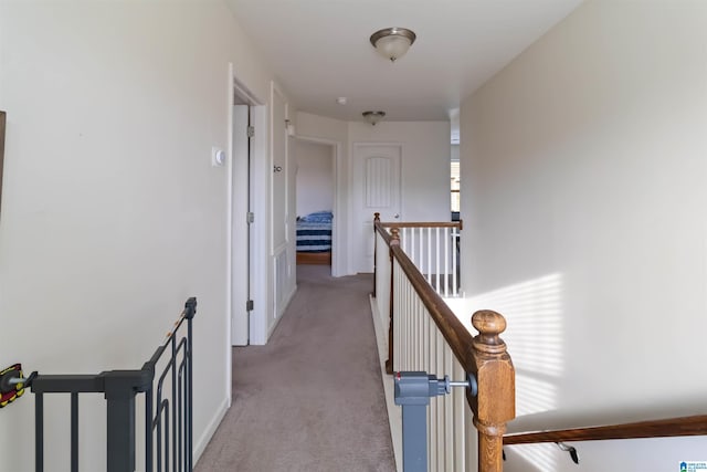 22873 Downing Park Cir, Mccalla, AL 35111 - hall with an upstairs landing, carpet flooring, and baseboards