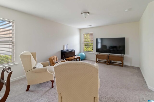 22873 Downing Park Cir, Mccalla, AL 35111 - living room featuring light colored carpet and baseboards