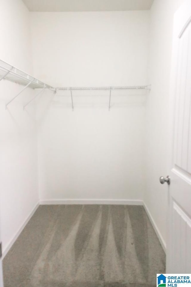 4905 Stonecreek Way, Calera, AL 35040 - spacious closet with carpet floors
