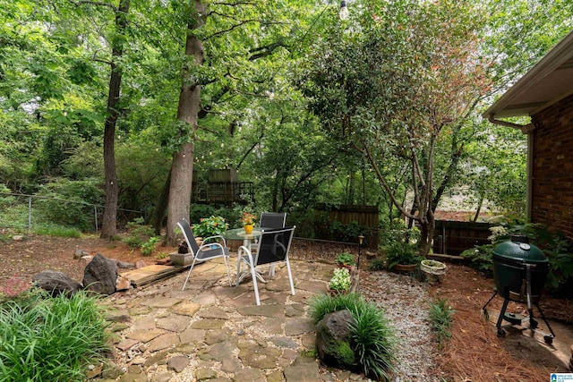 400 Art Hanes Blvd, Birmingham, AL 35213 - fenced backyard featuring a patio and area for grilling