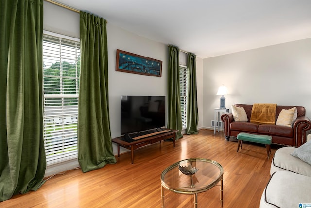 400 Art Hanes Blvd, Birmingham, AL 35213 - living room featuring light wood finished floors