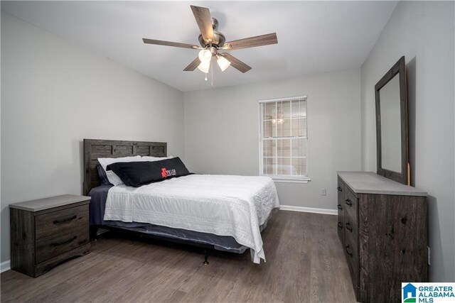 1721 Hackberry Ln Unit 6, Tuscaloosa, AL 35401 - bedroom featuring dark wood-style floors and ceiling fan