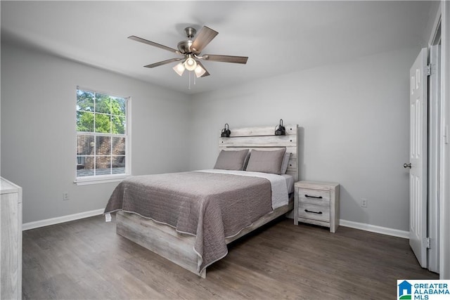1721 Hackberry Ln Unit 6, Tuscaloosa, AL 35401 - bedroom with wood finished floors and ceiling fan