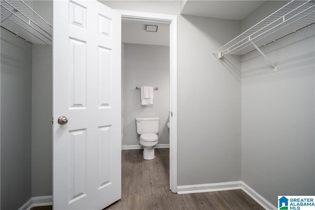 1721 Hackberry Ln Unit 6, Tuscaloosa, AL 35401 - bathroom featuring wood finished floors and toilet