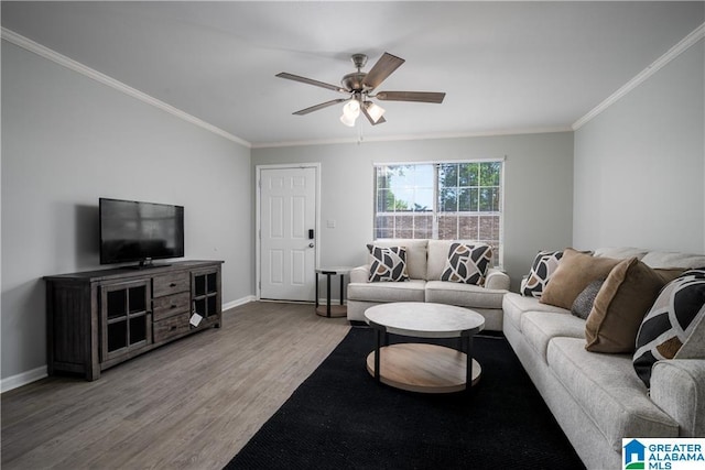 1721 Hackberry Ln Unit 6, Tuscaloosa, AL 35401 - living area featuring wood finished floors, crown molding, and ceiling fan