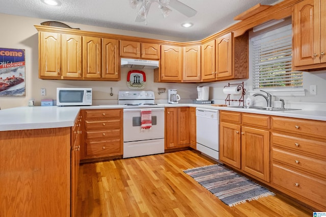 274 County Road 1291, Wedowee, AL 36278 - kitchen featuring white appliances, a sink, under cabinet range hood, light wood-type flooring, and ceiling fan